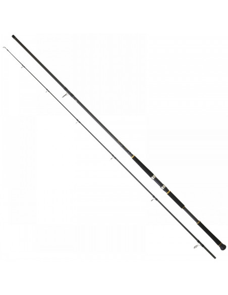 Daiwa Legalis Shore Jigging 1062XXHFS BF